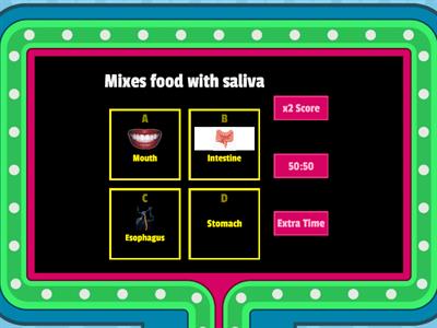 Digestive system 