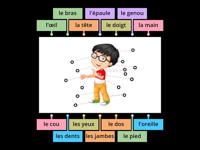 LES PARTIES DU CORPS_VOCABULAIRE