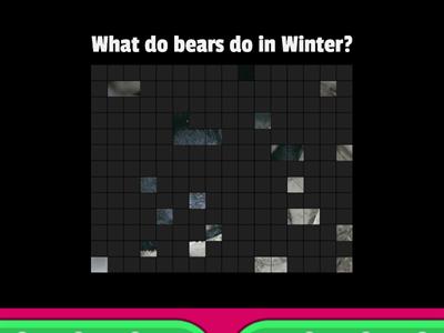 Winter Animals Quiz