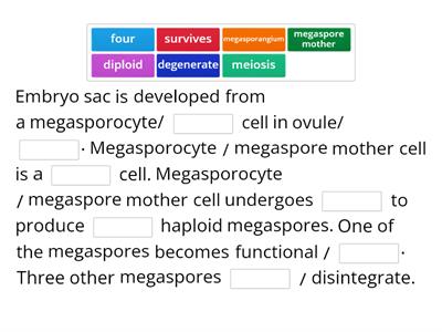 Describe embryo sac development in flowering plants