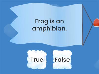 Animals "True or False"