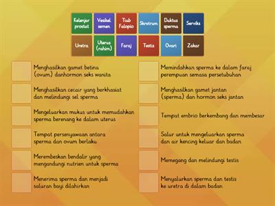 SAINS TINGKATAN 1 (Struktur sistem pembiakan lelaki dan perempuan)