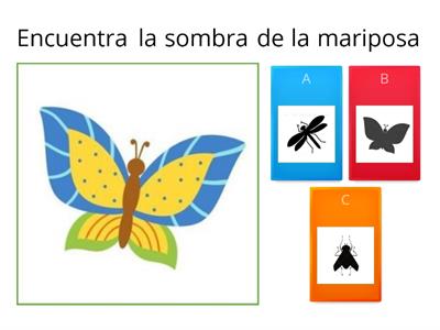 ¡Encuentra la sombra del insecto!