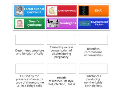 Factors Affecting Foetal Development