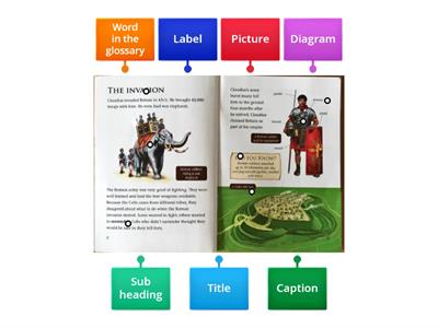 Features of a Non Fiction Text