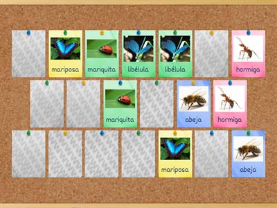 Insectos matching game