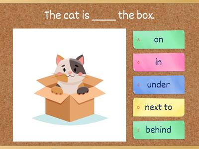 Starlight 3 Module 5 Prepositions of place | The cat & the box