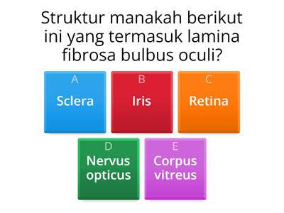 Sistem indera 1