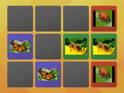 MEMORY GAME WITH BUGS