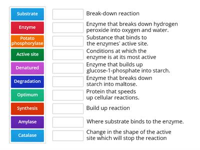 Enzyme action (N5) - match terms