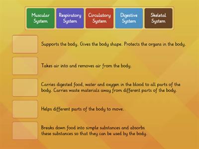 Body Systems