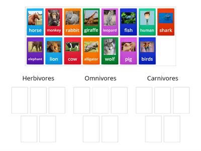 Herbivores, Omnivores, and Carnivores