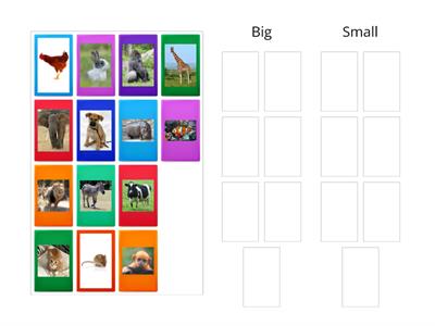 Primary Starter, Unit 8 - Animals Big and Small