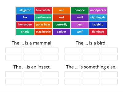 Me2a Science - Mammals, Birds, Insects