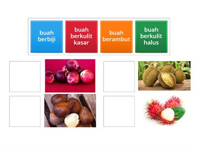 macam-macam buah 