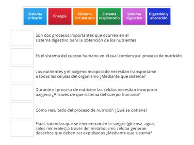 Une las parejas de la nutrición