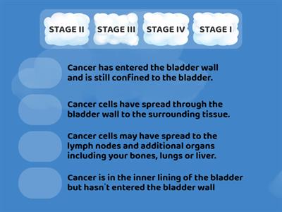 BLADDER CANCER STAGING