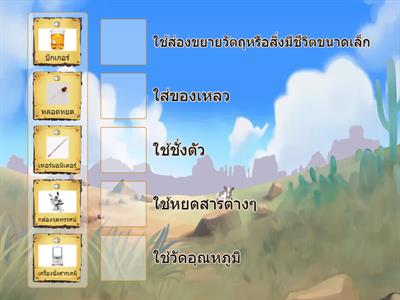 ณฐดนย์038