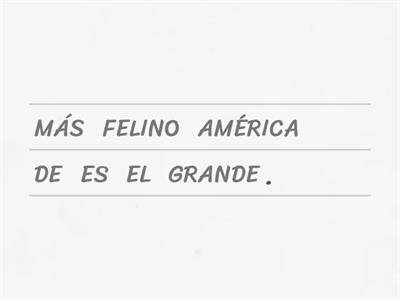 ORDENA PALABRAS PARA FORMAR ORACIONES. EL YAGUARETÉ