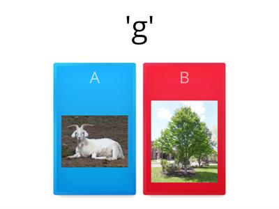 Year 2 Phonics - 'g'