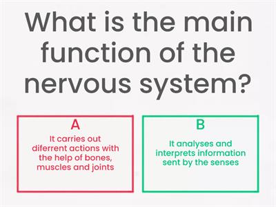 THE NERVOUS SYSTEM & THE LOCOMOTOR SYSTEM