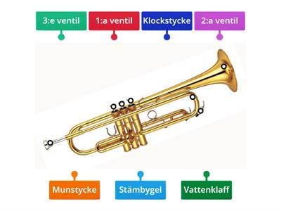 Trumpetens delar
