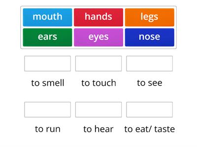 Our body parts