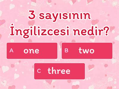 4. ünite yaz tatili testi