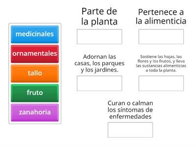 Partes de las plantas  y sus utilidades 