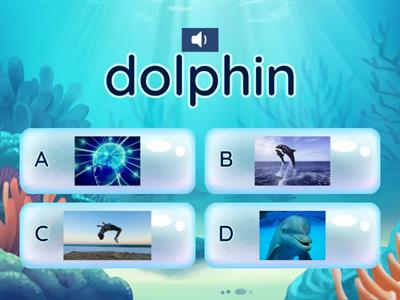 Dolphins - vocab, spelling (DRA decodable Level 4 NF1) pp. 2-3
