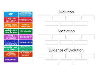 Evolution Review 