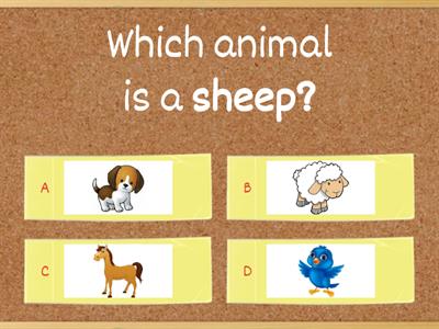 The Animal Shelter Vocabularies