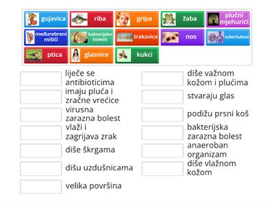 Kako i zašto živa bića dišu?(ponavljanje tematske cjeline)