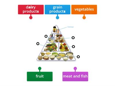 [P4] {Vocab} Bk4B Ch.4 - Food Pyramid