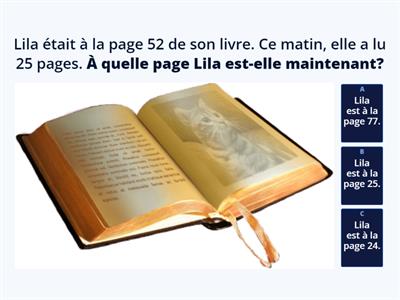 Les problèmes de mathématiques - CE1/FLSCO