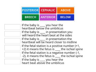 Key Fetal Assessments (Position)