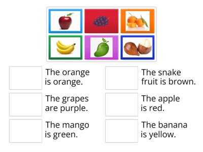 Match the Fruits in English with their Colors.