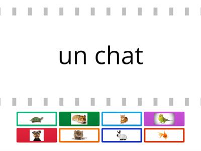 Les animaux de compagnie