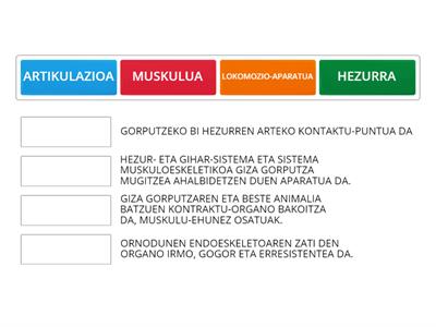 LOKOMOZIO APARATUA