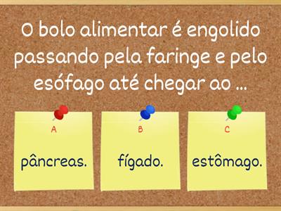 Sistema digestivo - Revisões