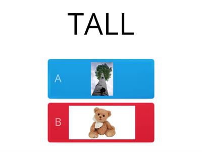 UNIT 5 TALL OR SHORT