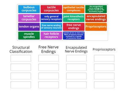 General Sensory Receptors Structures