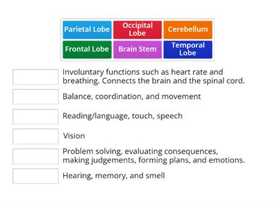Functions of the Brain 