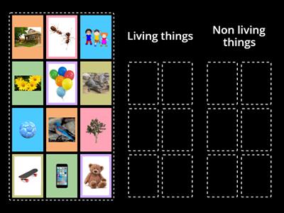 Living things & Non living things