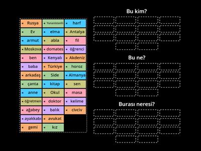 Bu ne, bu kim, burası neresi?