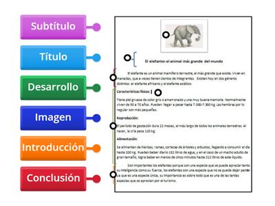  Estructura del artículo informativo.