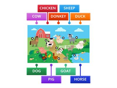 FARM ANIMALS 