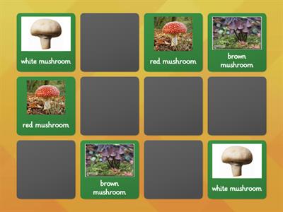 Matching Mushrooms