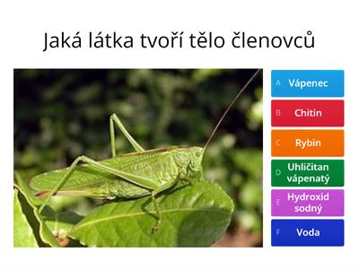 Členovci