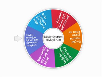 Düşün -Söyle